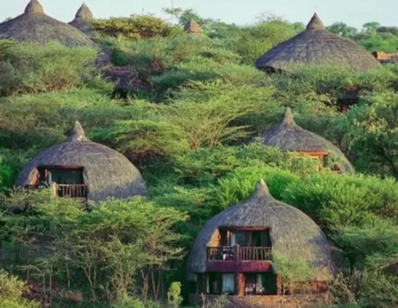 Tanzania Tour Packages – Luxury Vacations and Holidays Pvt Ltd