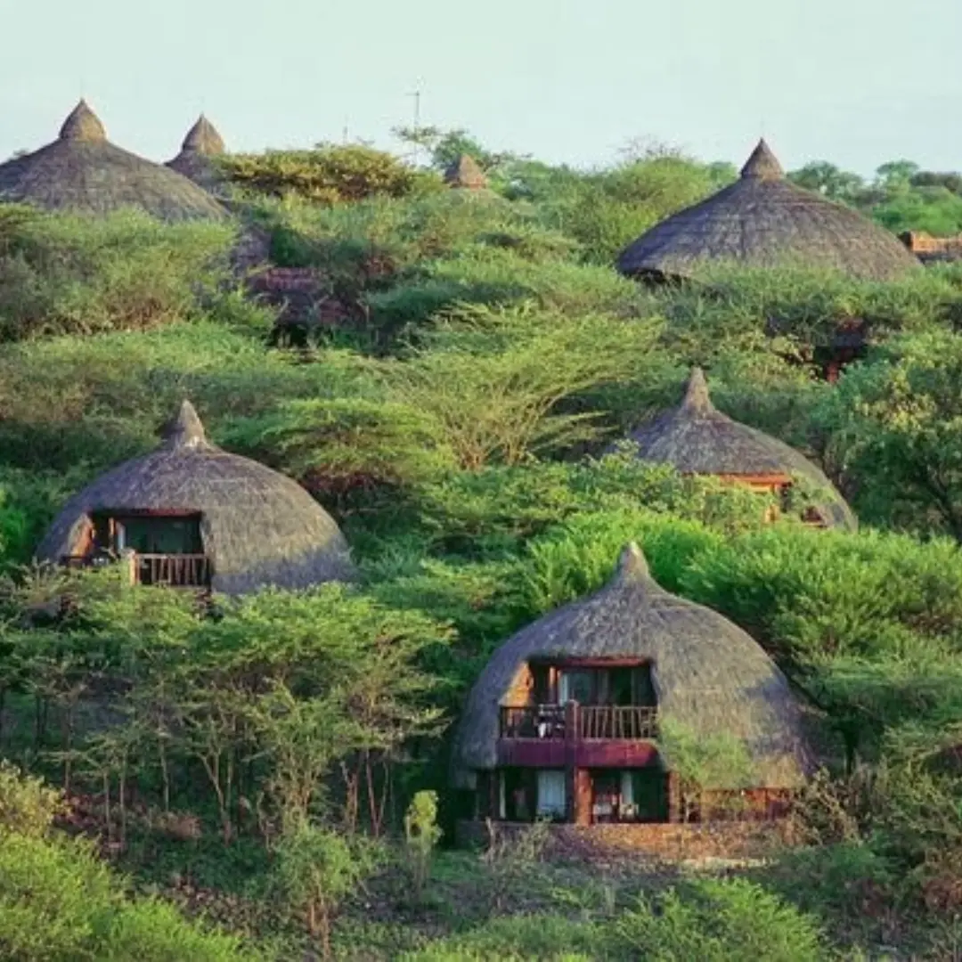Tanzania Tour Packages - Luxury Vacations and Holidays Pvt Ltd