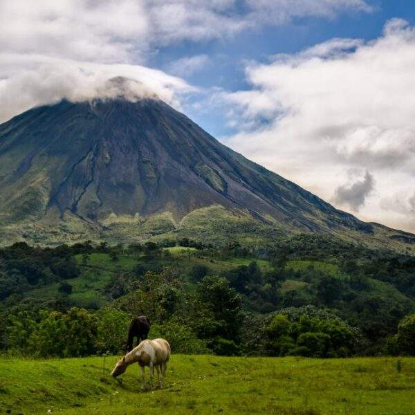 Costa Rica Tour Packages - Luxury Vacations and Holidays